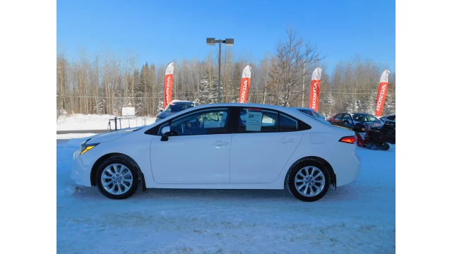 Toyota Corolla L/LE/XLE 2021