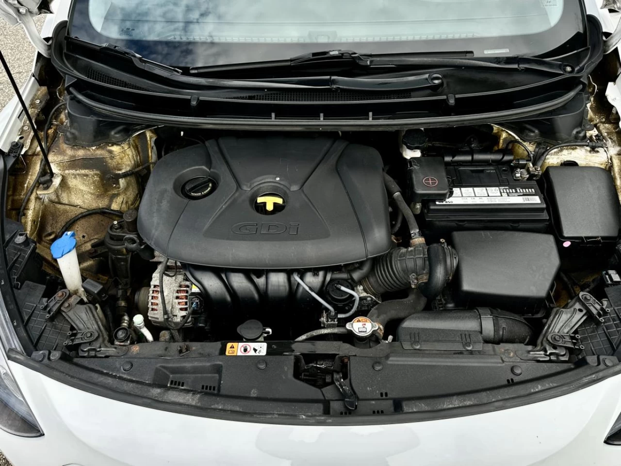 2016 Hyundai Elantra GT 5dr HB Man GLS Main Image